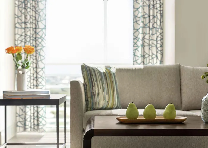 Hotel Alba Tampa, Tapestry Collection By Hilton