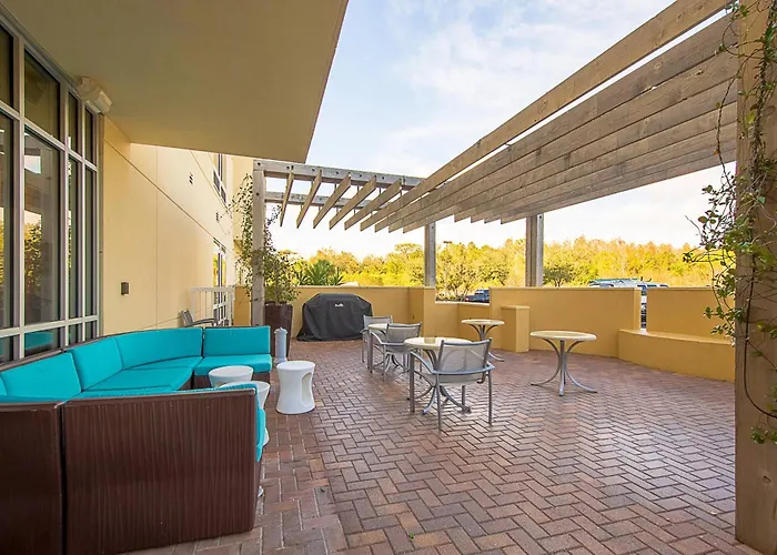 Springhill Suites Tampa North/Tampa Palms