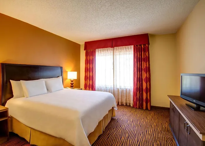 Hilton Garden Inn Tampa Ybor Historic District